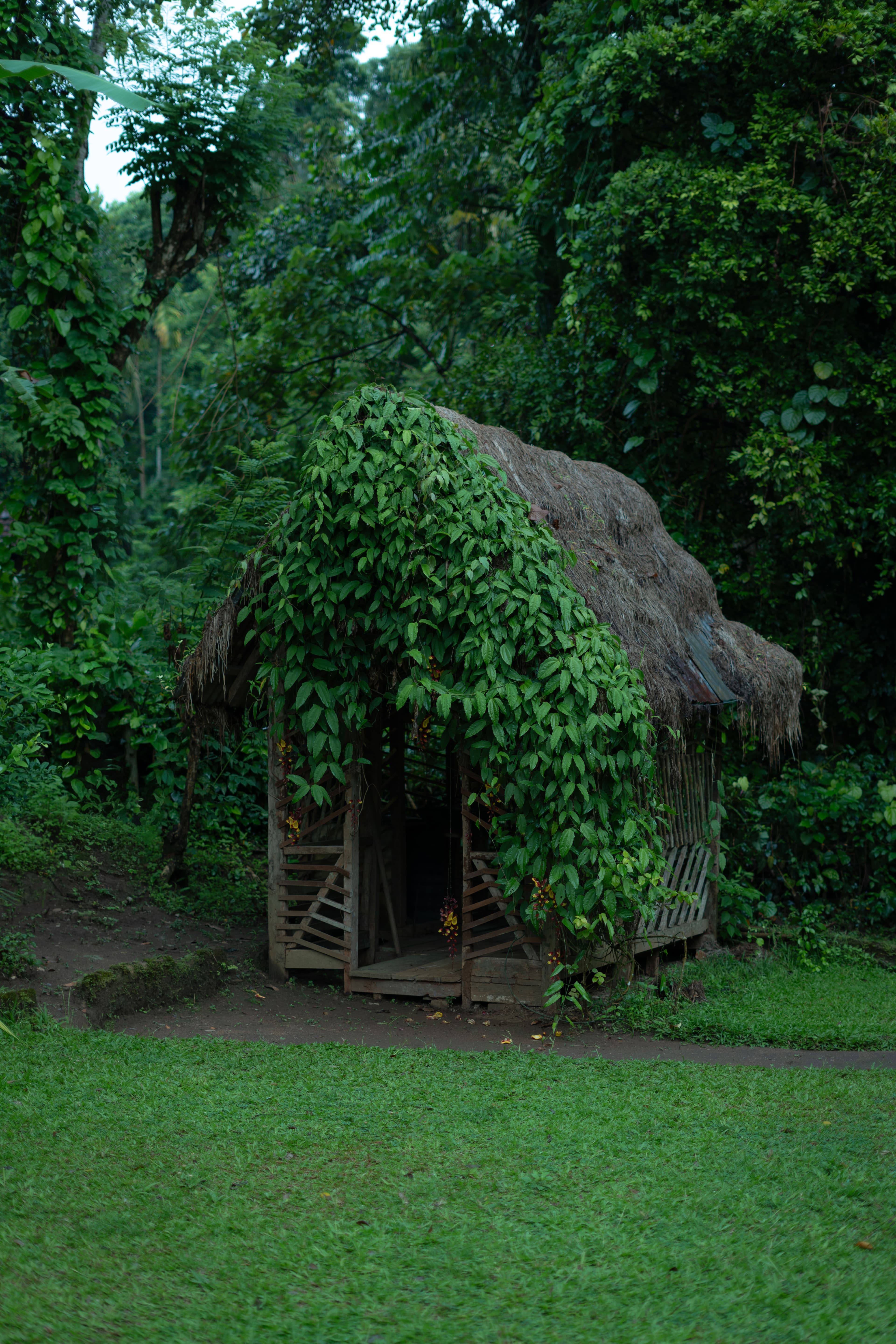 The wooden cottage in the garden